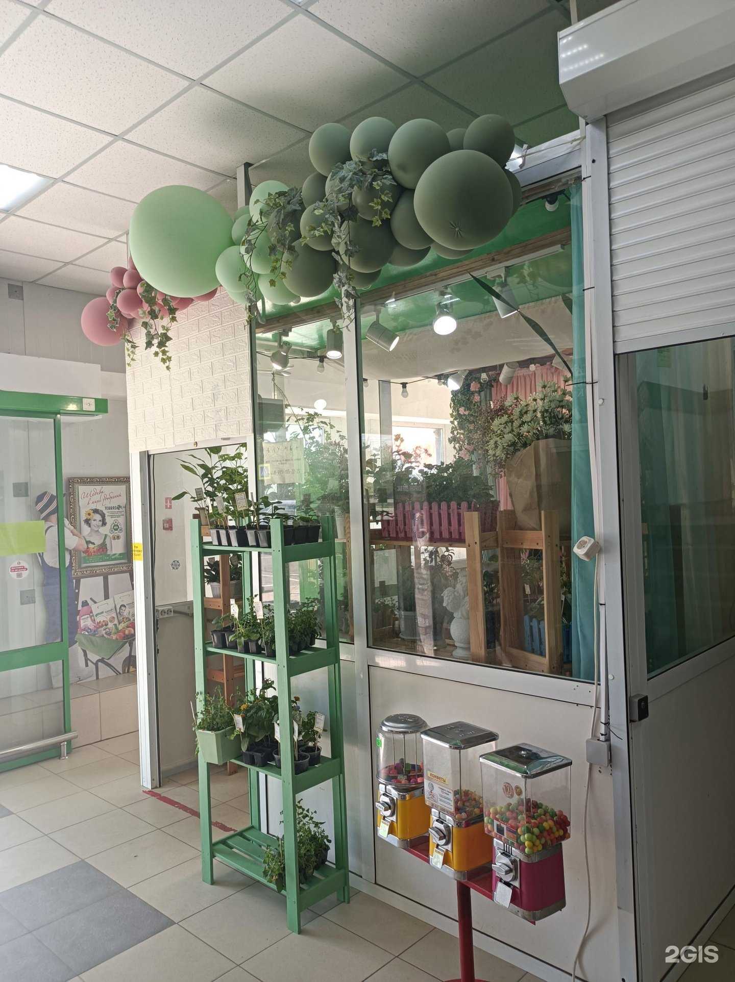 Отзывы на компанию Блумба в г. Наро-Фоминск c фото