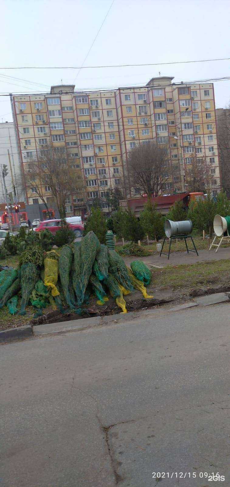 Отзывы на компанию Домиан в Ростове-на-Дону c фото - фотография 2 из 2