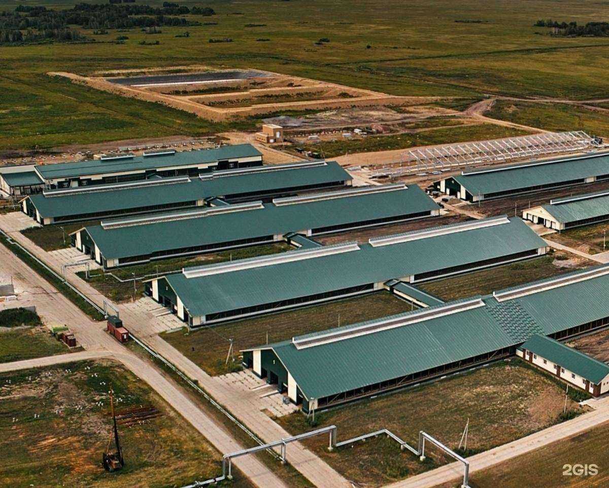 Отзывы на компанию Фиксант Плюс в Новосибирске c фото