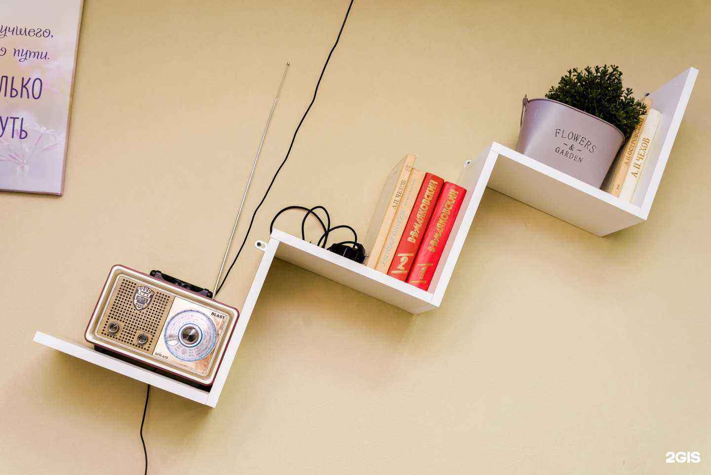 Отзывы на компанию Бармалей в Видном c фото