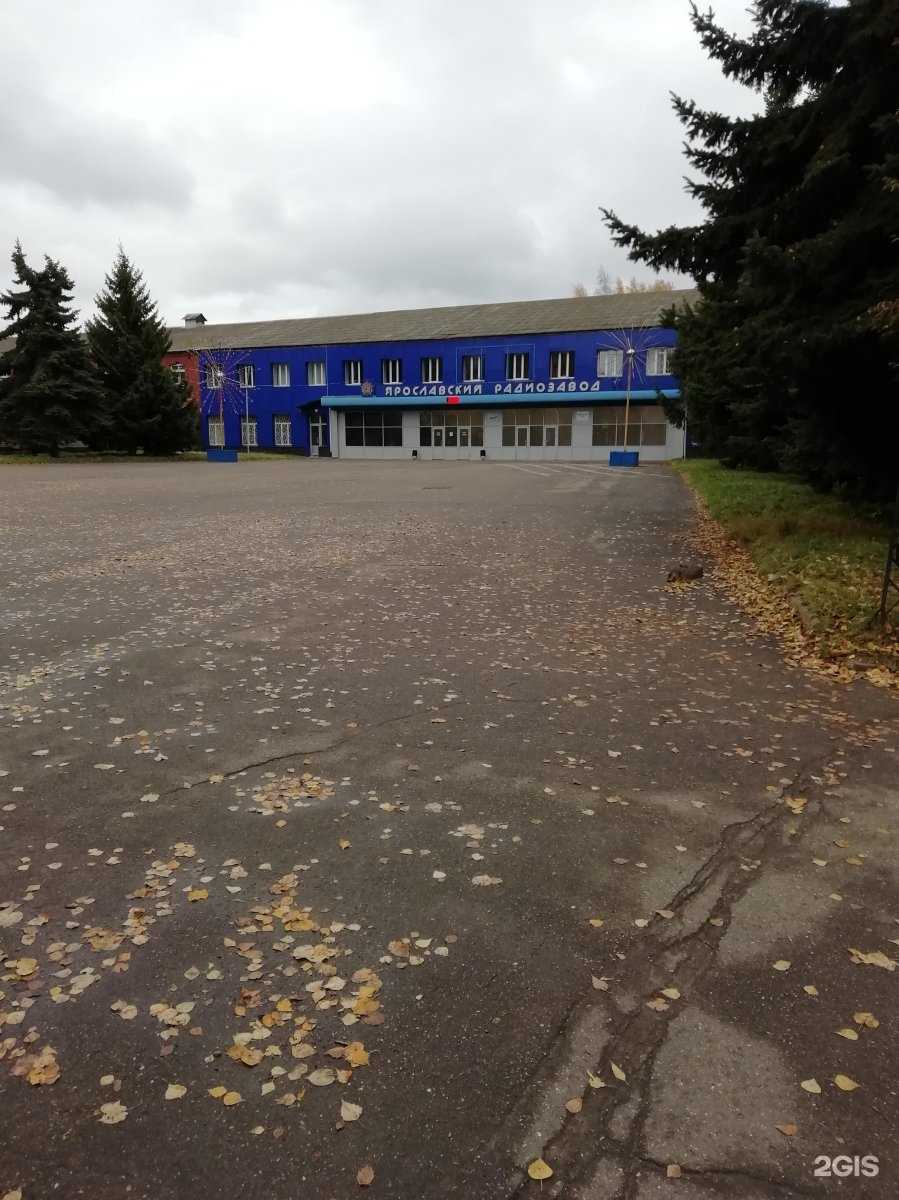 Отзывы на компанию Рунга в Ярославле c фото