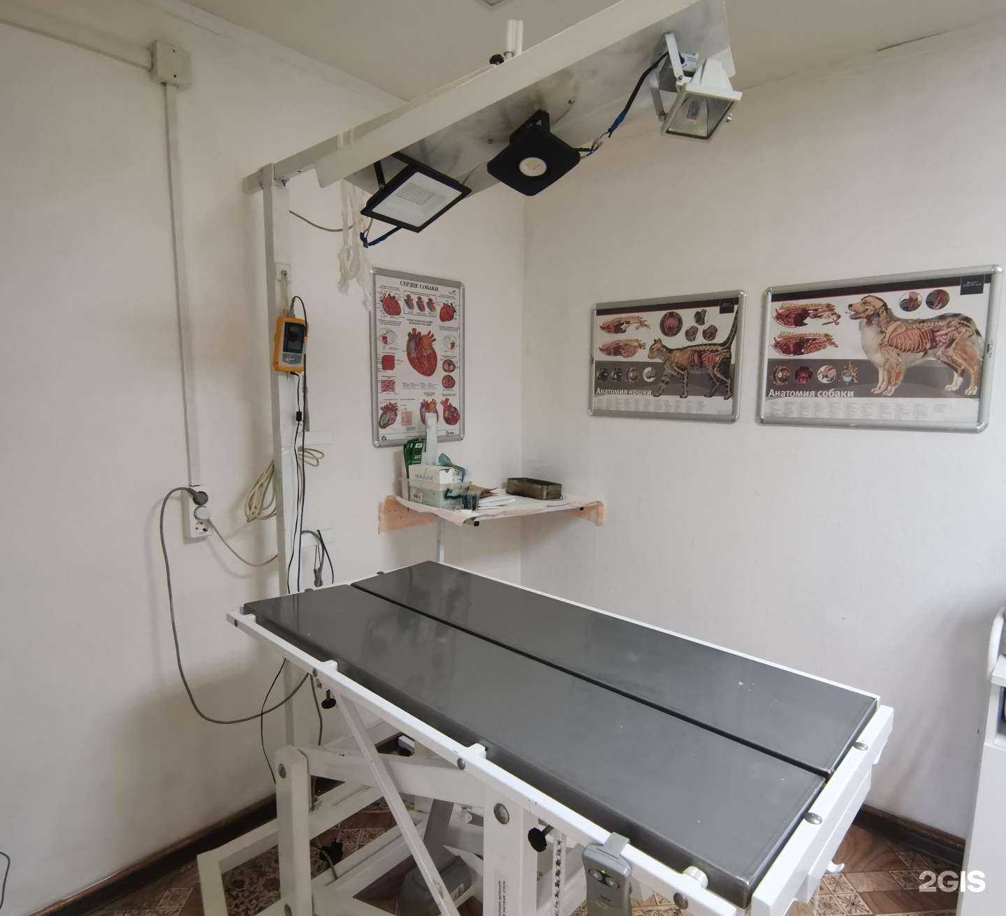 Отзывы на компанию Иркутская районная станция по борьбе с болезнями животных в Иркутске c фото