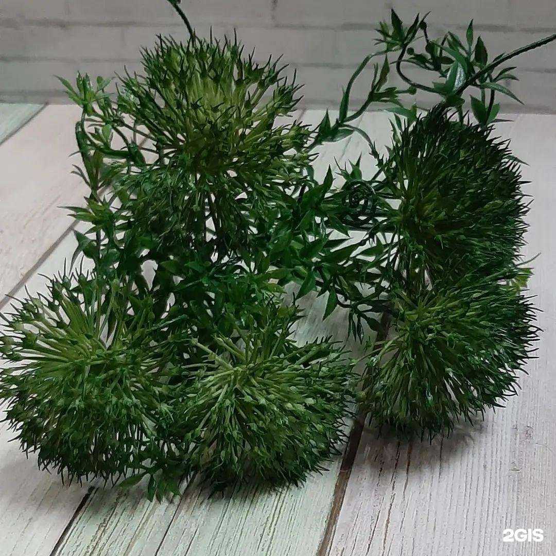 Отзывы на компанию Флористика в Ставрополе c фото