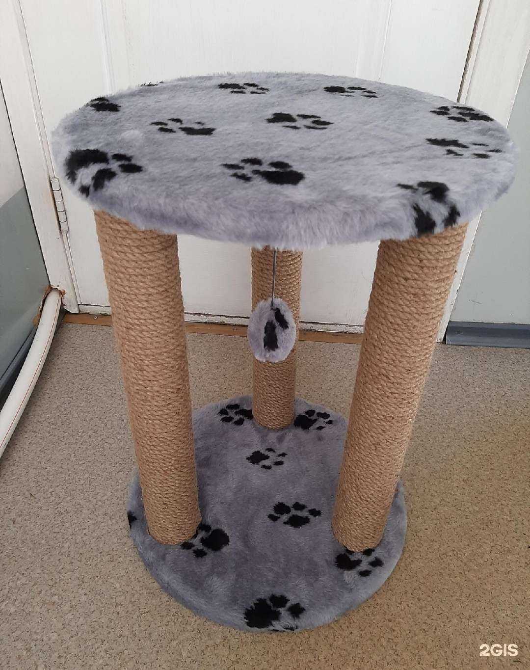 Отзывы на компанию ZooЛегион в Хабаровске c фото