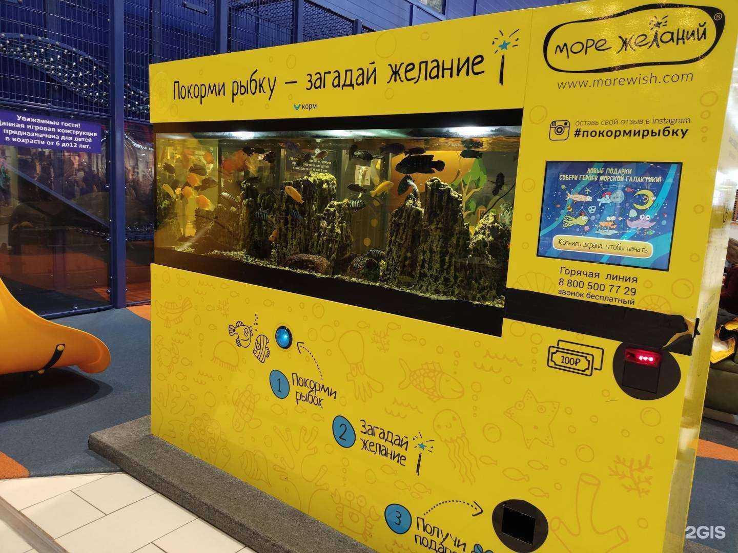 Отзывы на компанию Море желаний в Уфе c фото