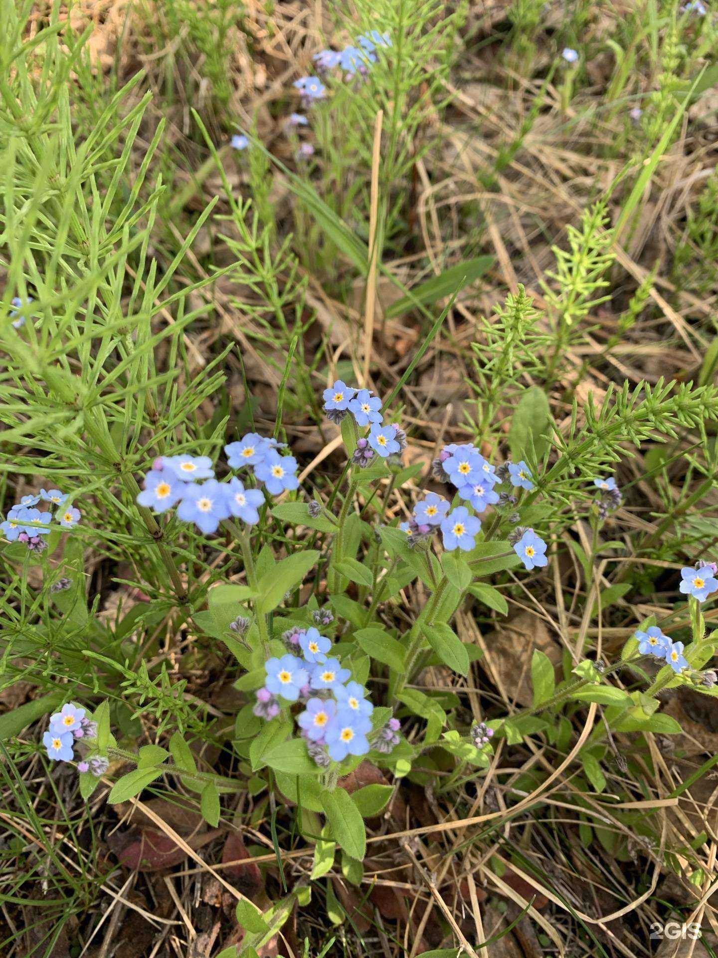 Отзывы на компанию Автосервис в Сургуте c фото - фотография 2 из 2