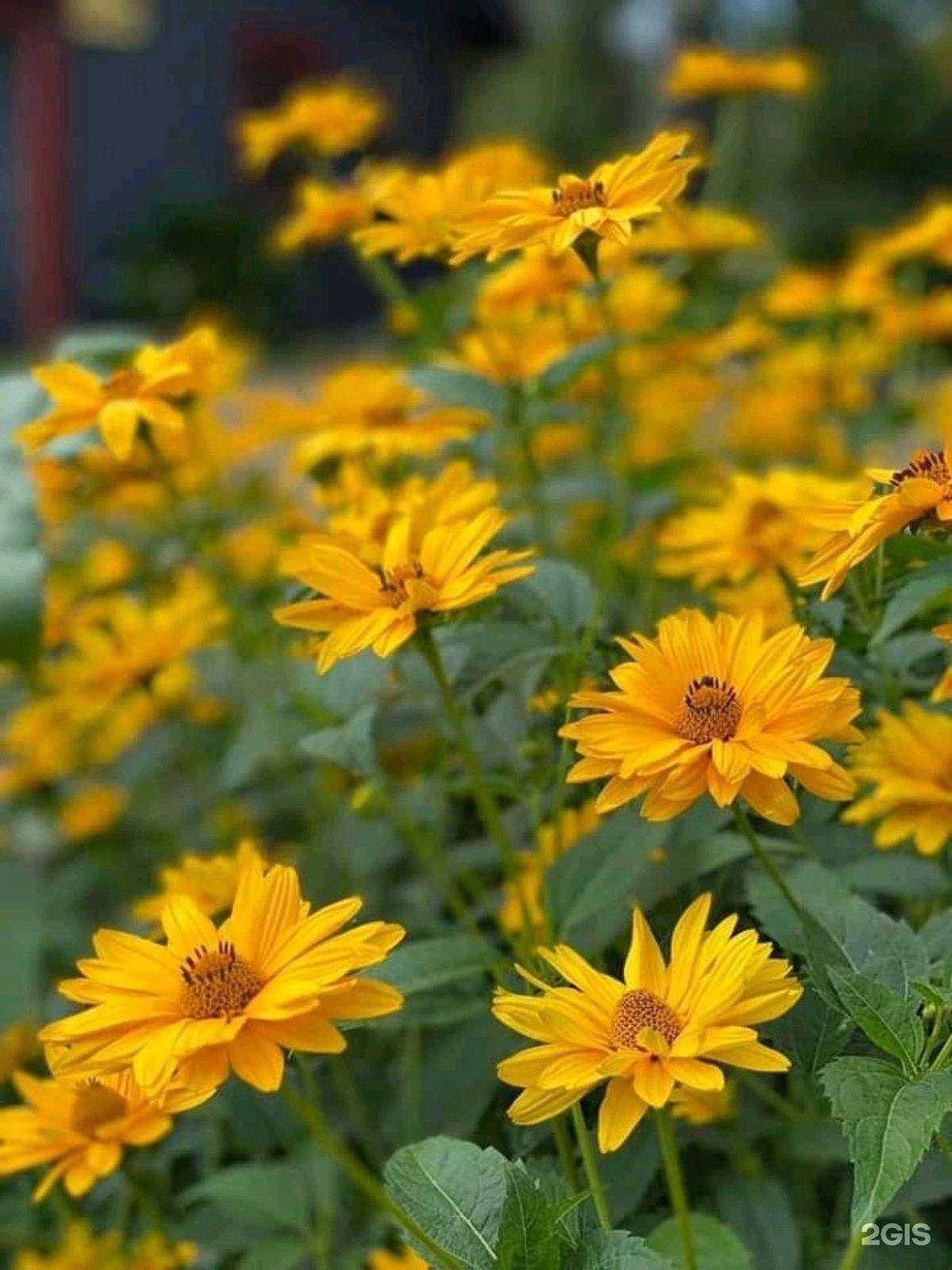 Отзывы на компанию Порция в г. Иркутск c фото