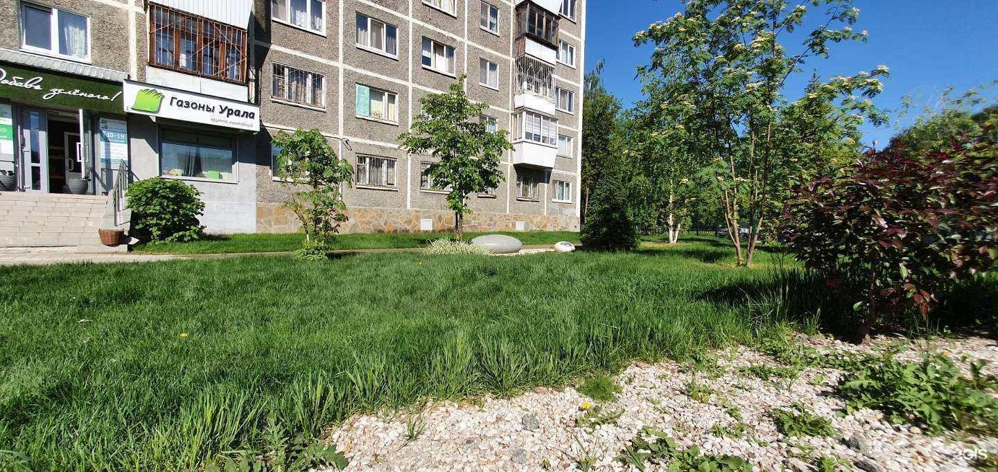 Отзывы на компанию Газоны Урала в Екатеринбурге c фото