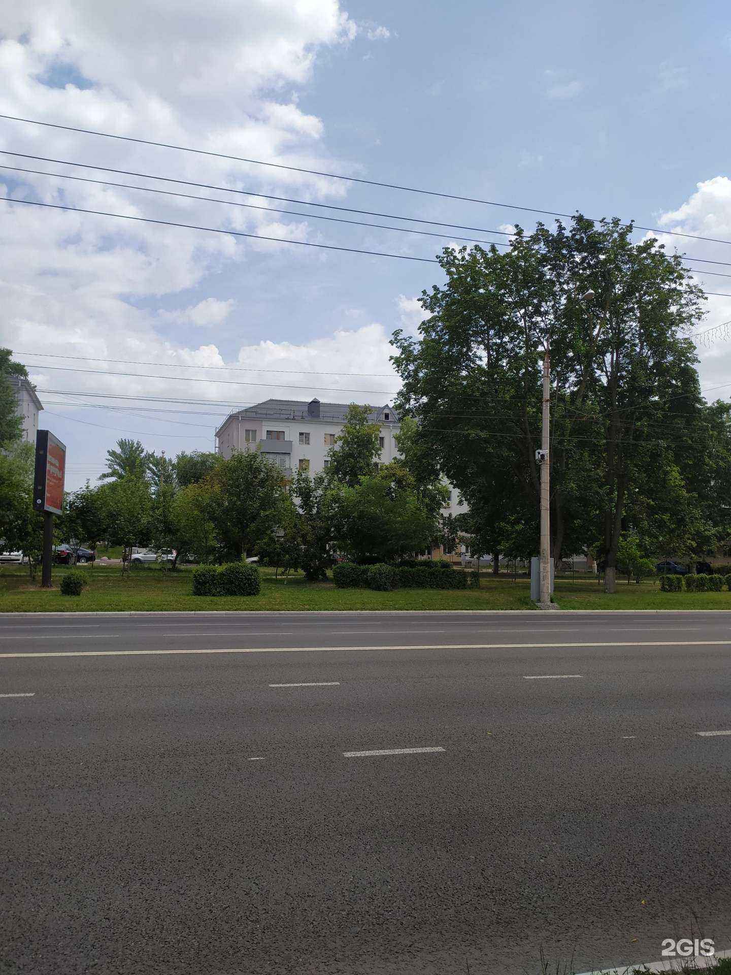 Отзывы на компанию Котёнок Гав в Белгороде c фото - фотография 2 из 2