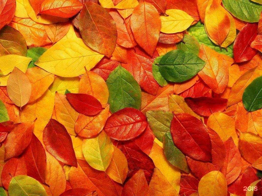 Отзывы на компанию Детский сад №7 в Мурманске c фото