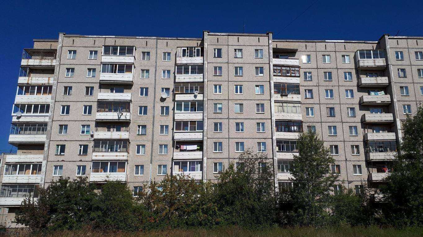 Отзывы на компанию Зоотрейд в Нижнем Тагиле c фото - фотография 2 из 2