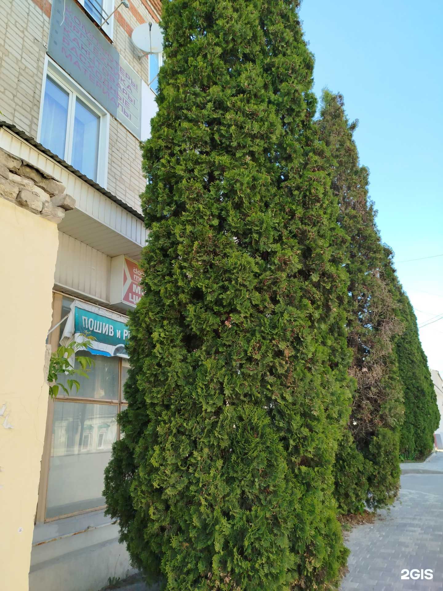 Отзывы на компанию Адвокатский кабинет Штукатурова С.А. в Елеце c фото - фотография 2 из 2