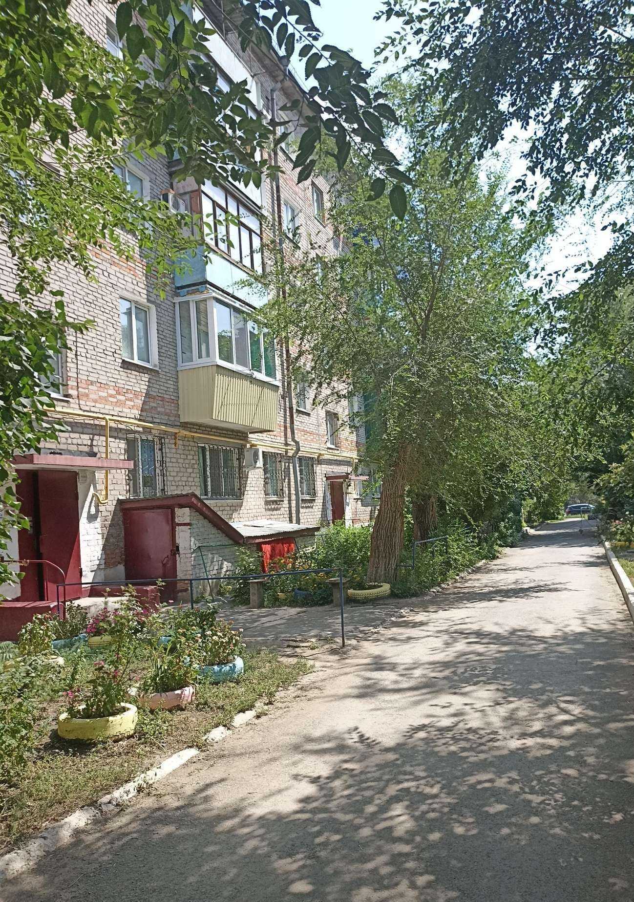 Отзывы на компанию Пушистый друг в Орске c фото - фотография 2 из 2