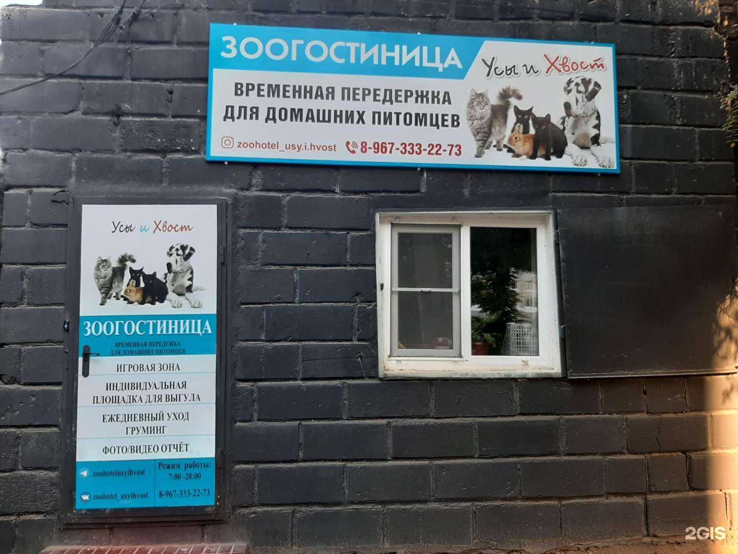 Отзывы на компанию Усы и Хвост в г. Астрахань c фото