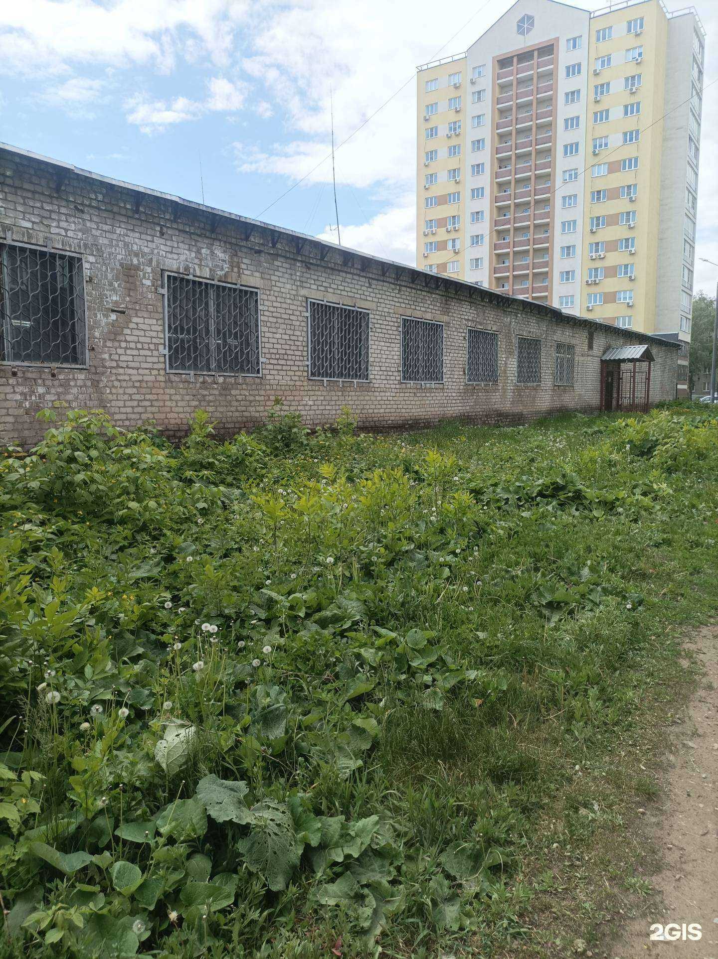 Отзывы на компанию Сокол в Липецке c фото - фотография 2 из 2