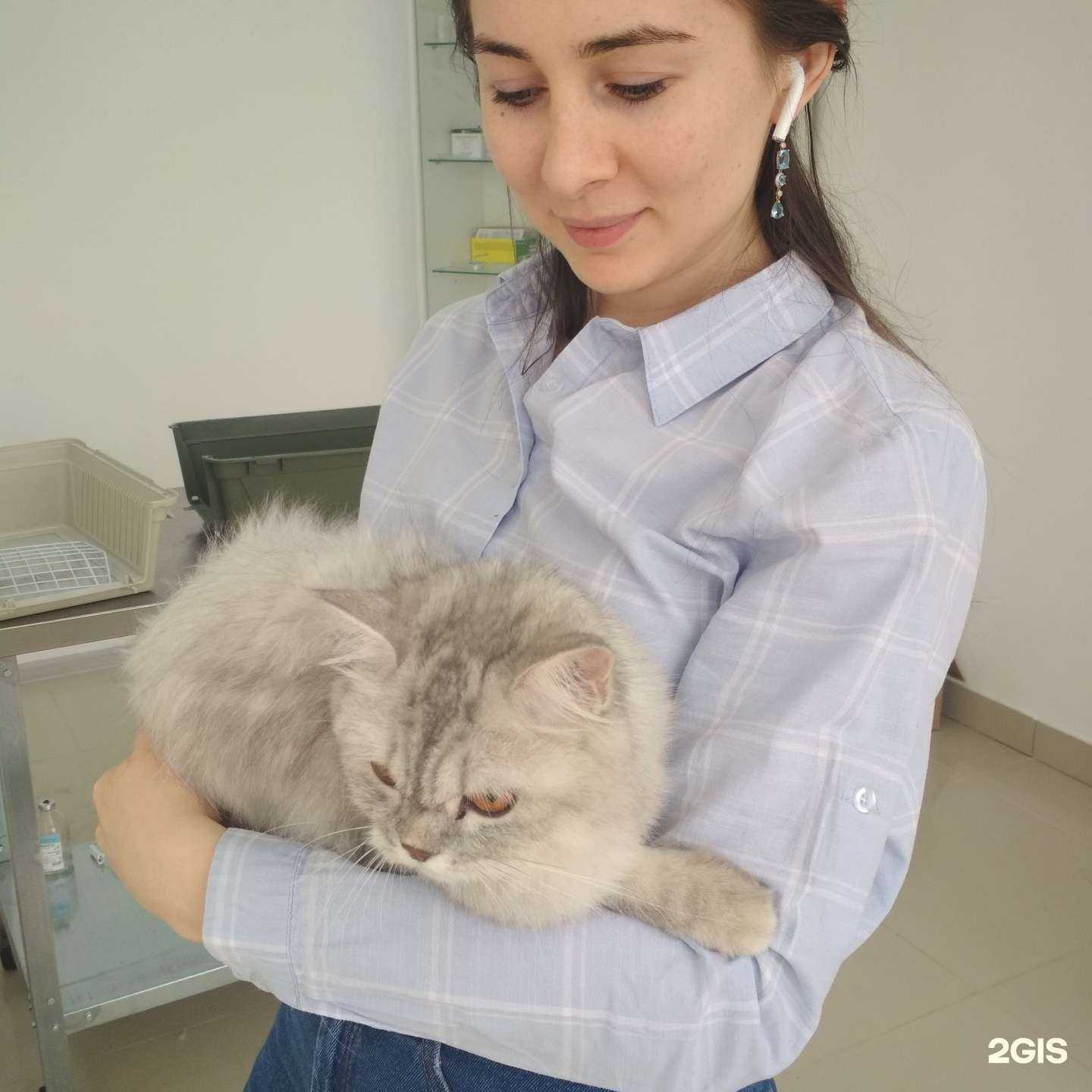 Отзывы на компанию ЗооВет в Махачкале c фото