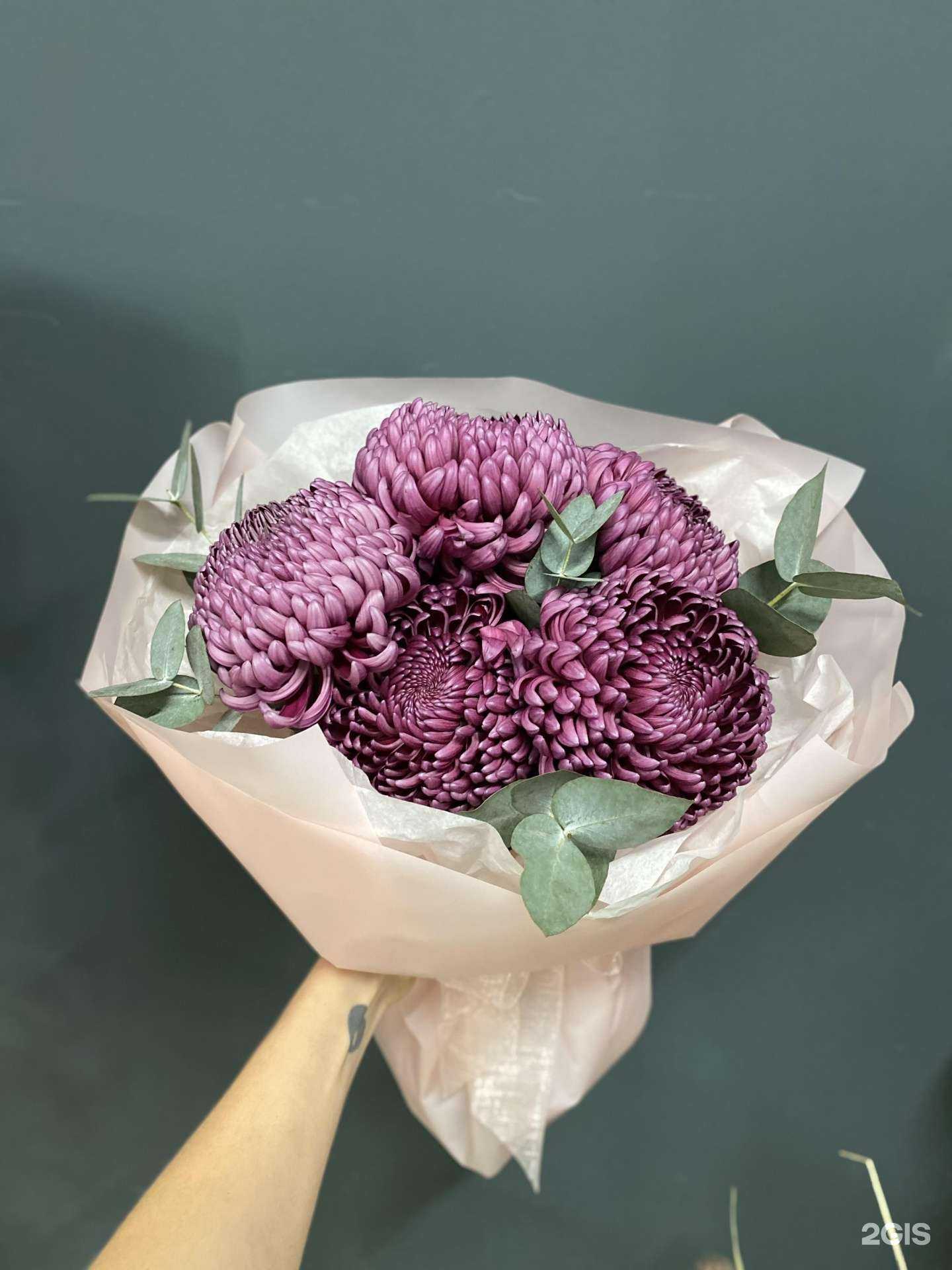 Отзывы на компанию Усадьба в Краснодаре c фото