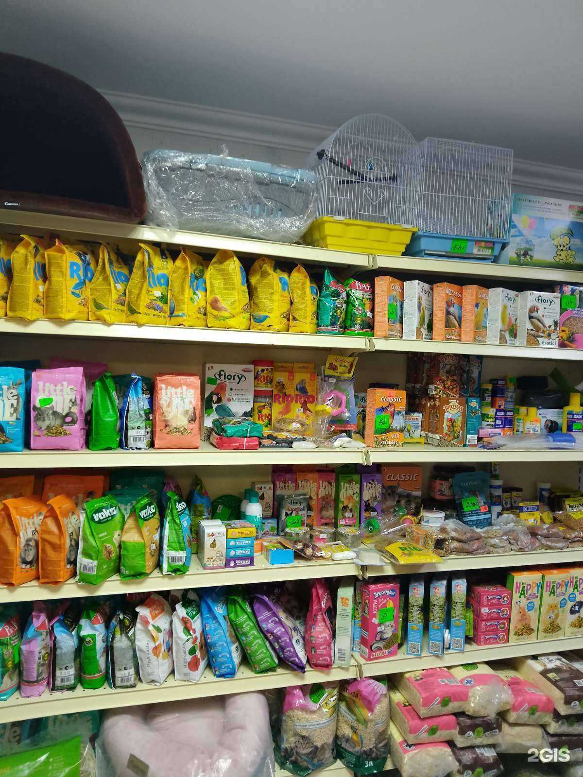 Отзывы на компанию Mr.Hamster в г. Челябинск c фото