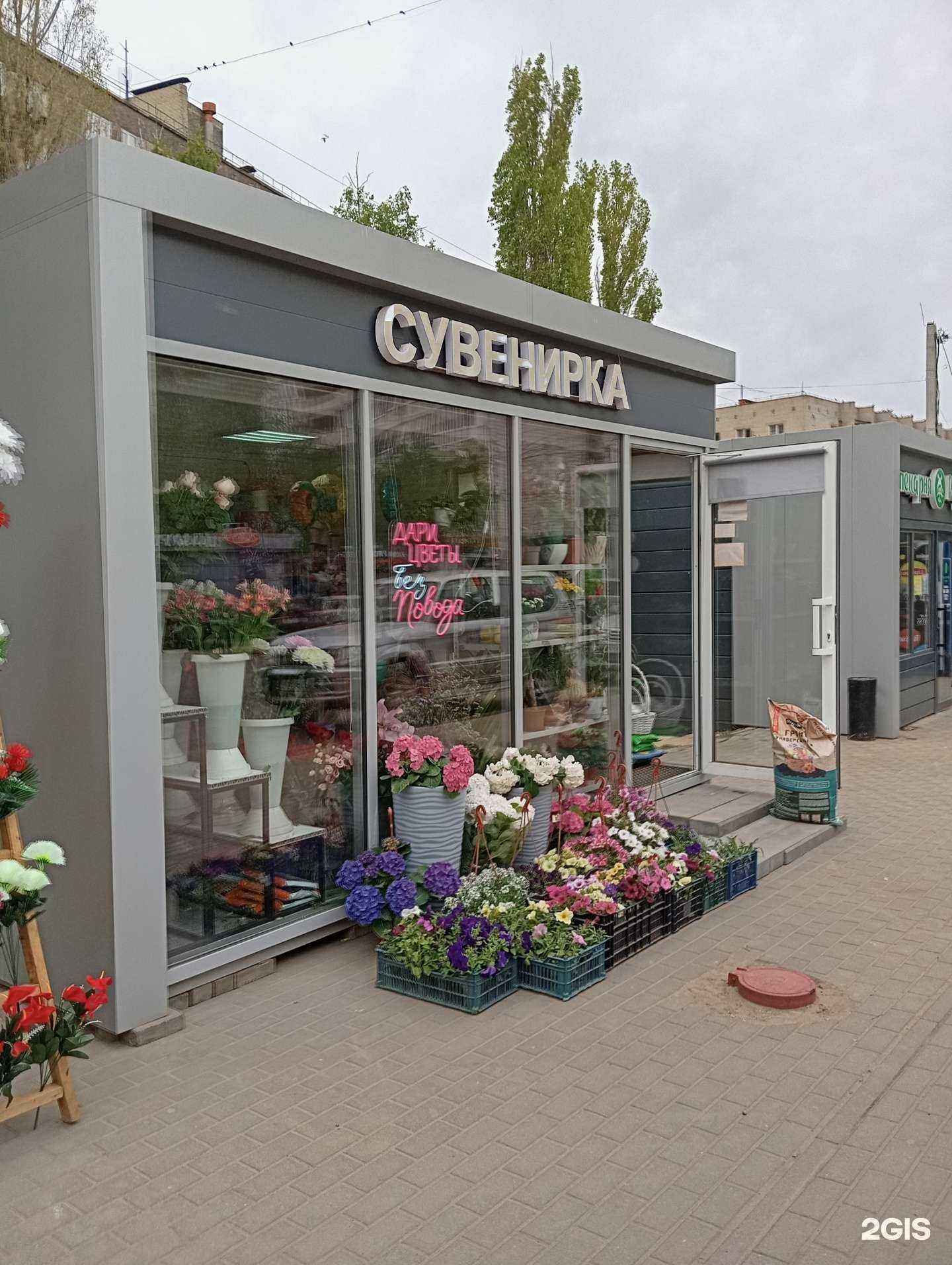 Отзывы на компанию Монстера  в Воронеже c фото