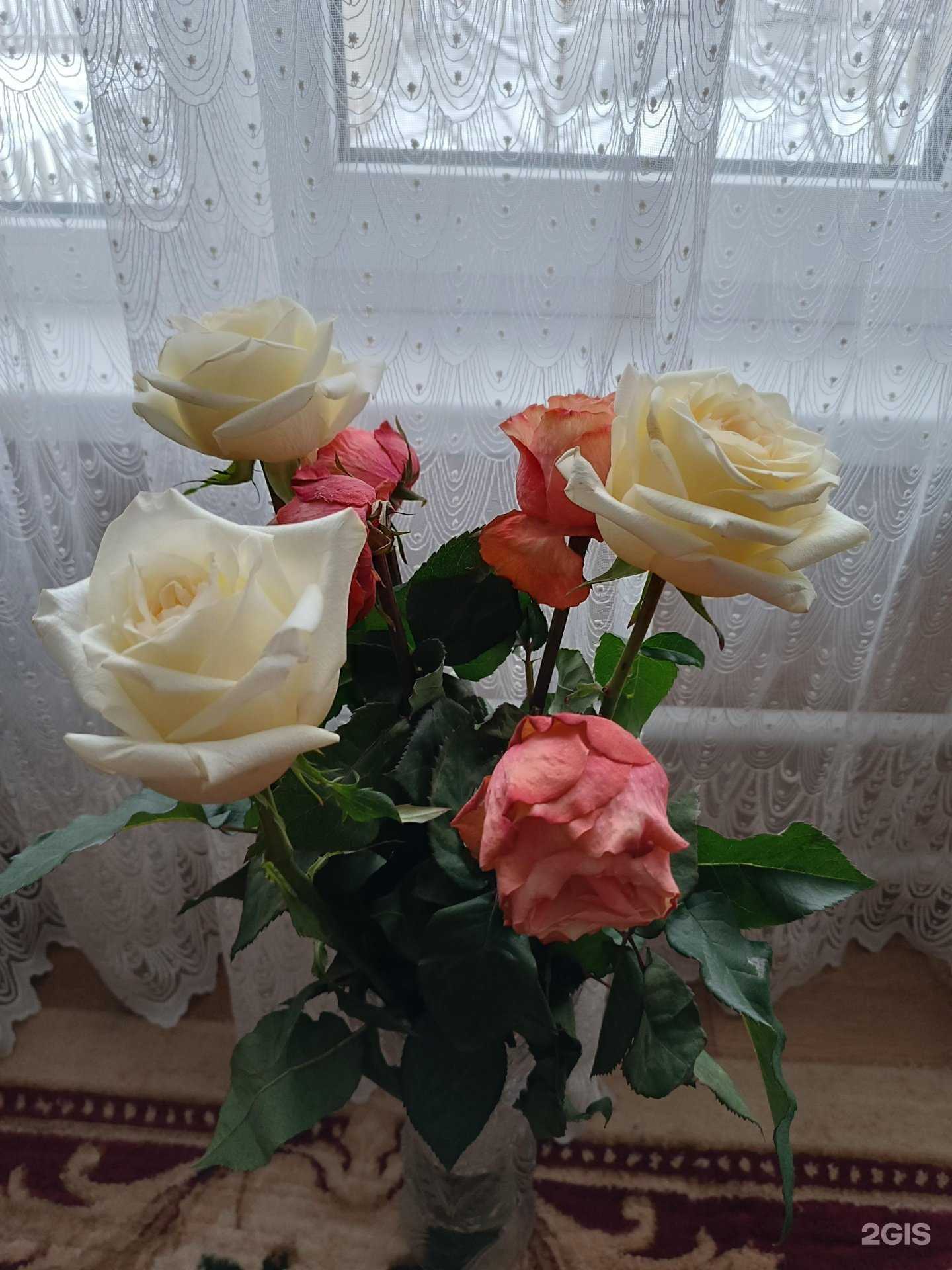 Отзывы на компанию Жасмин в г. Тамбов c фото