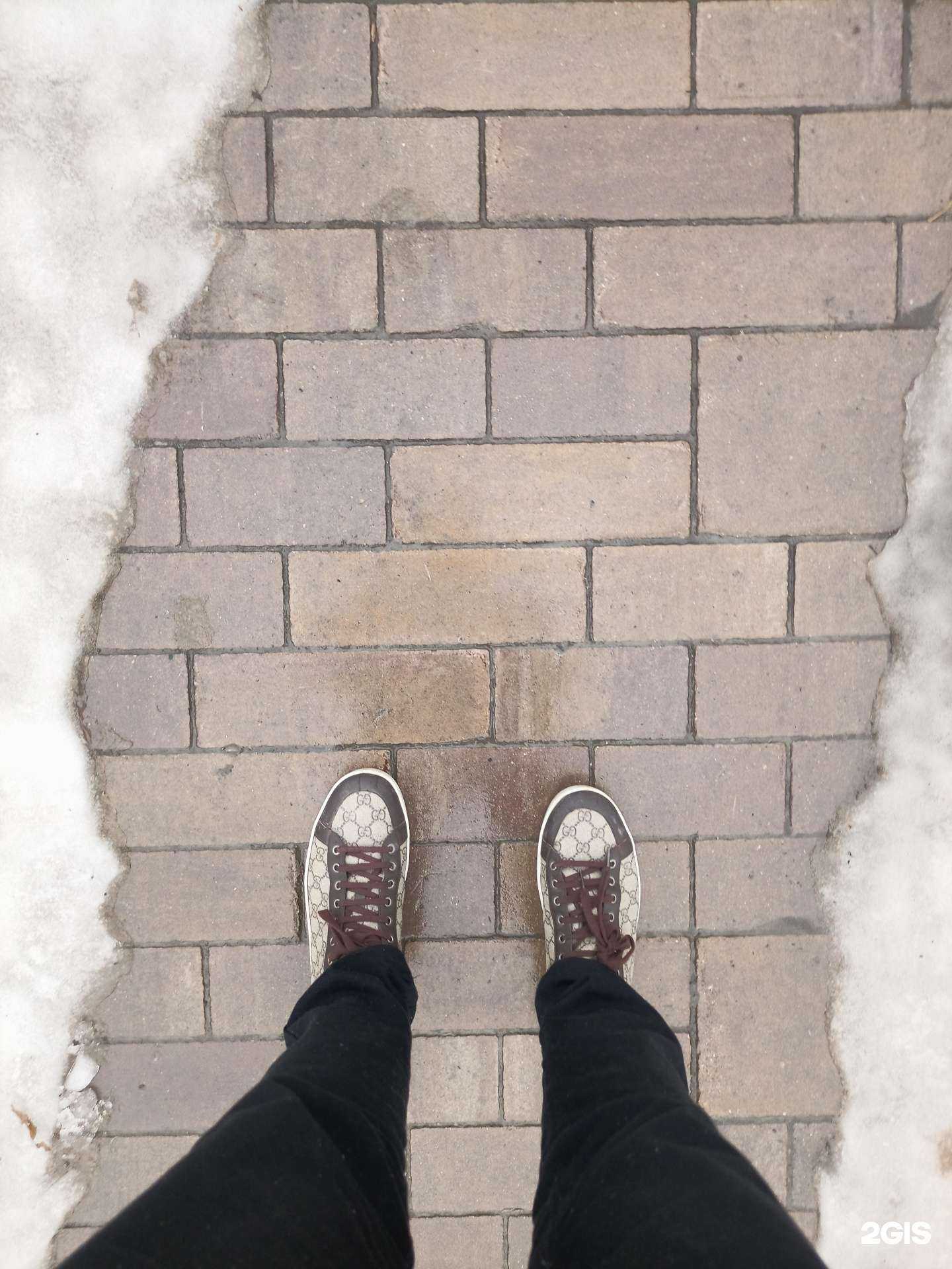 Отзывы на компанию Самарский государственный медицинский университет министерства здравоохранения Российской Федерации в г. Самара c фото