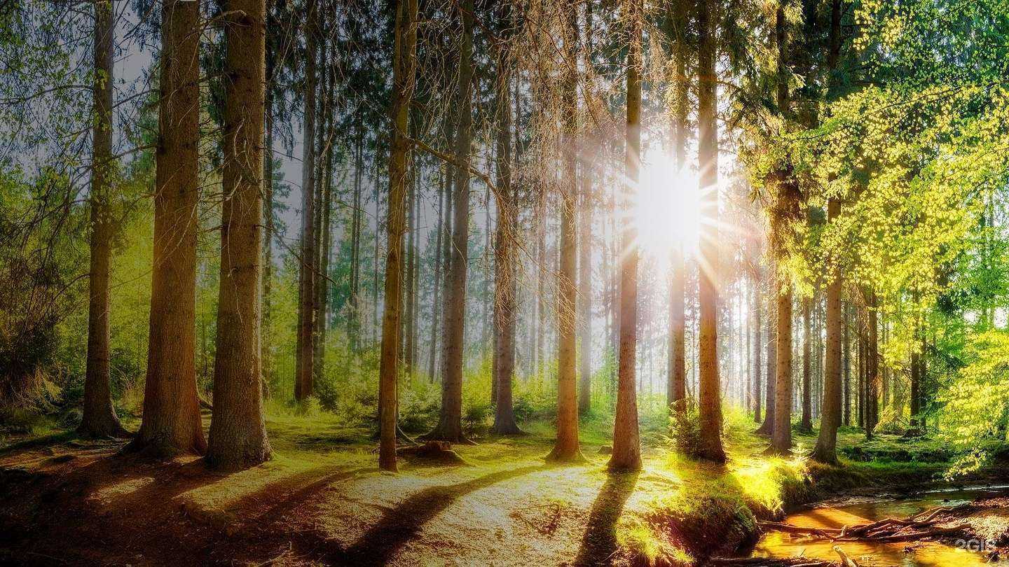 Отзывы на компанию Чебаркульский исток в г. Челябинск c фото