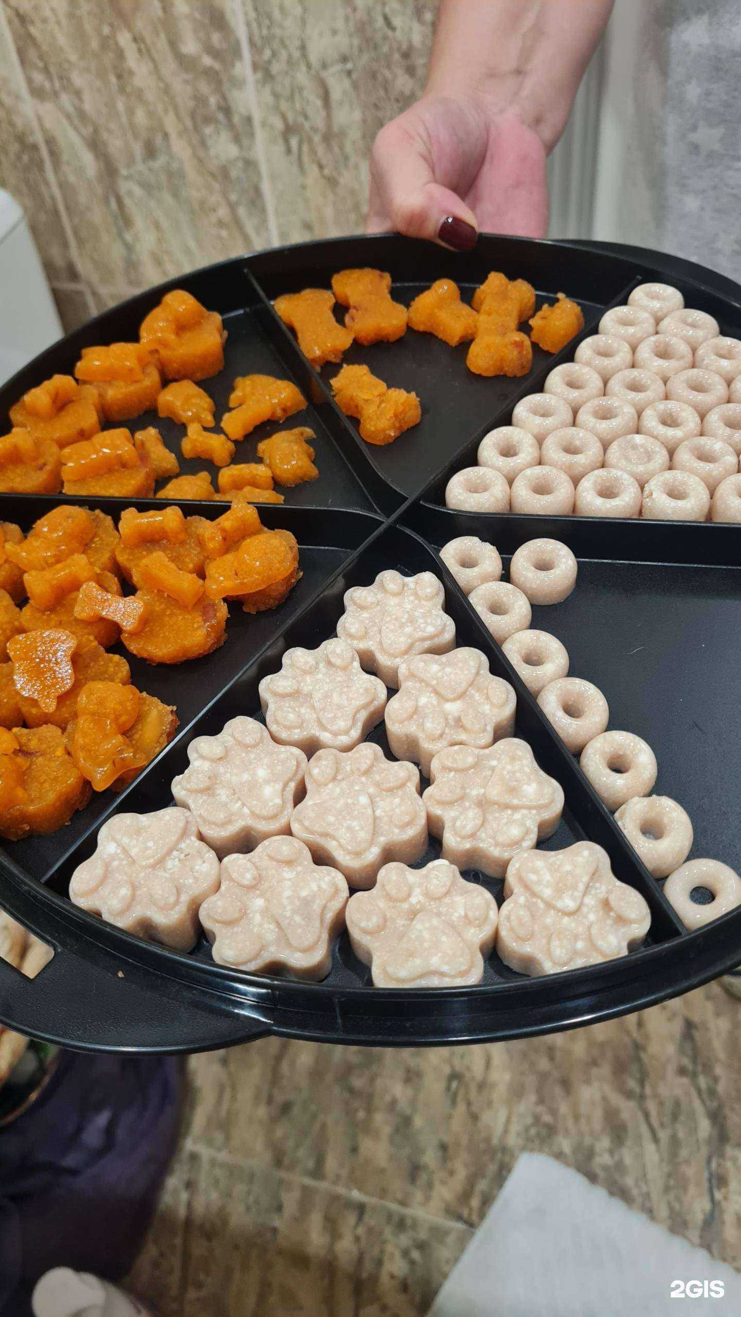 Отзывы на компанию My dog loo в Самаре c фото