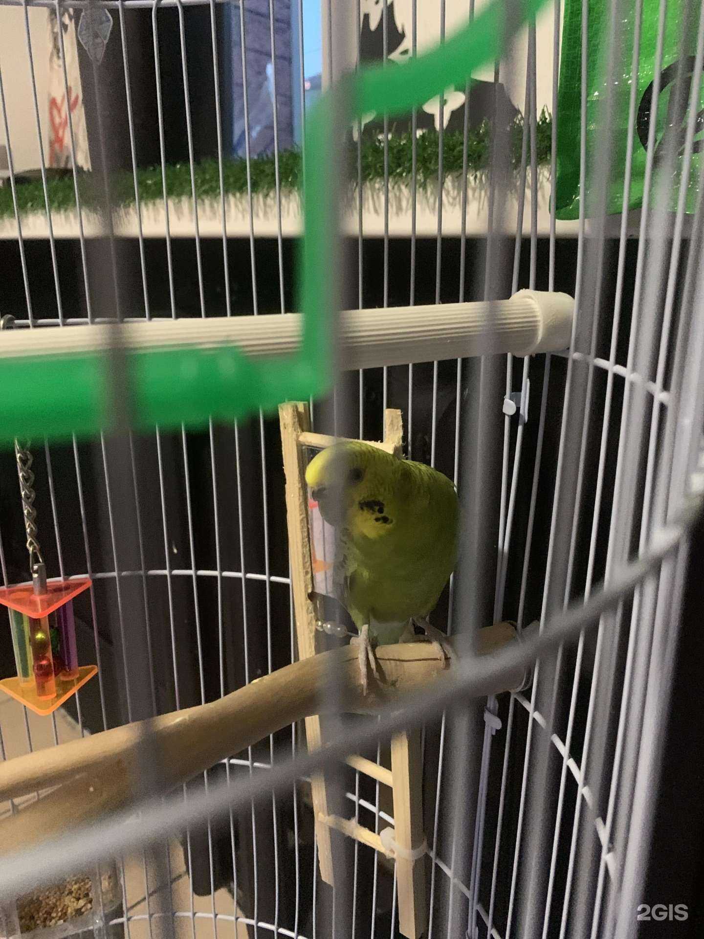 Отзывы на компанию Vaporclub в Петропавловске-Камчатском c фото