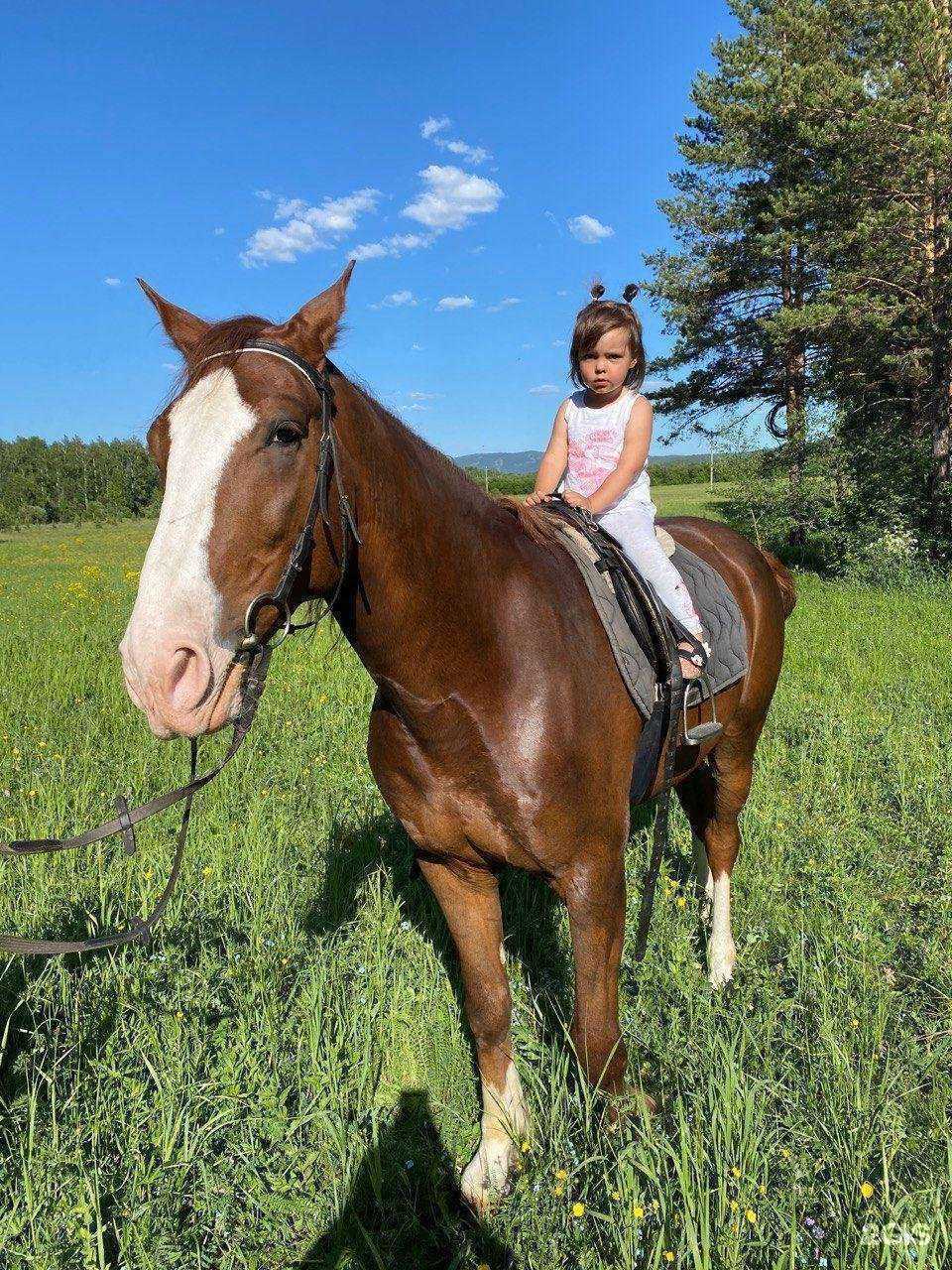 Отзывы на компанию Valleysunny в Миассе c фото