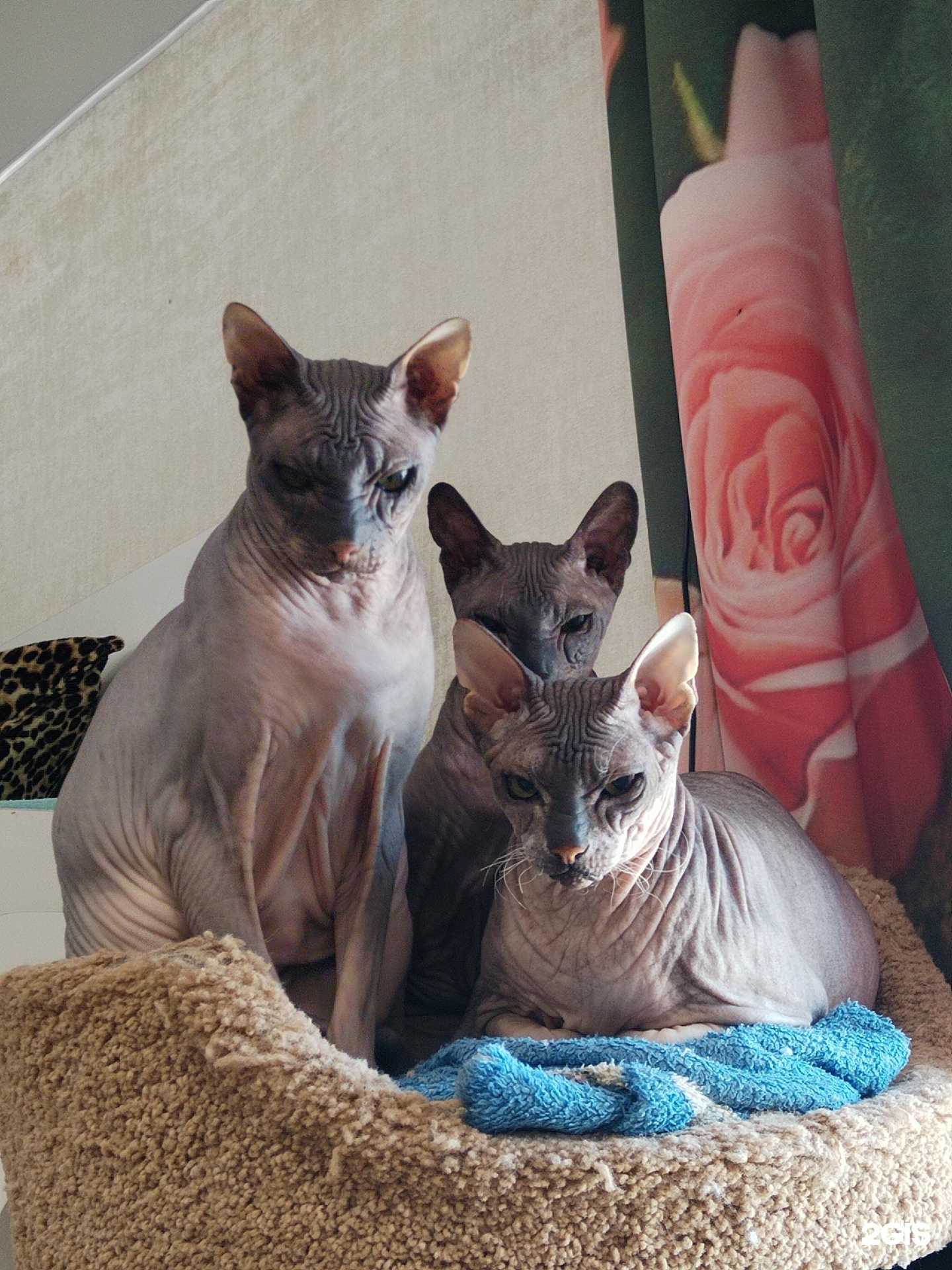 Отзывы на компанию Живой уголок в Елизове c фото