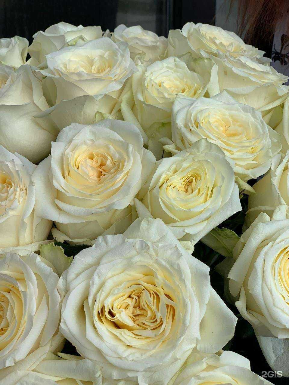 Отзывы на компанию У ромашки в г. Кашира c фото