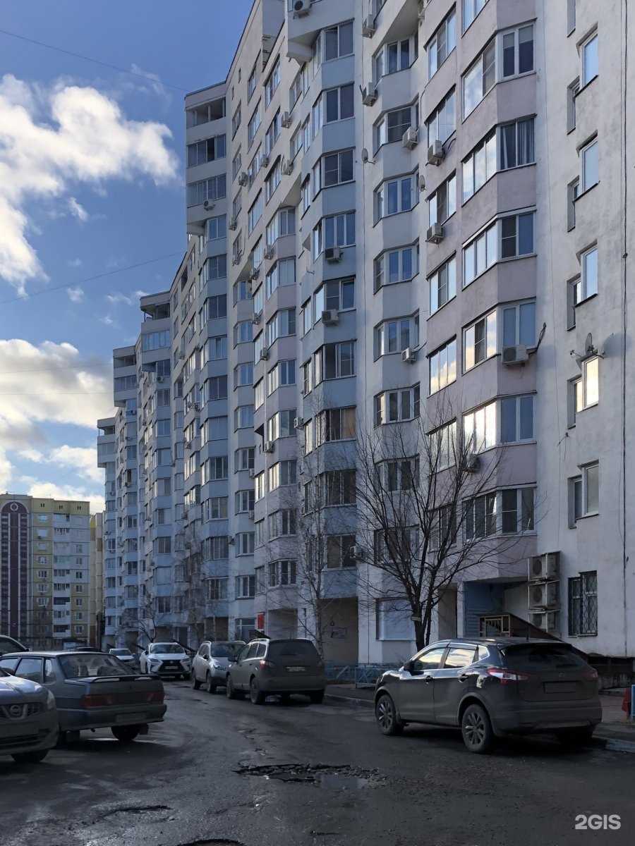 Отзывы на компанию Джунгли в Липецке c фото - фотография 2 из 2