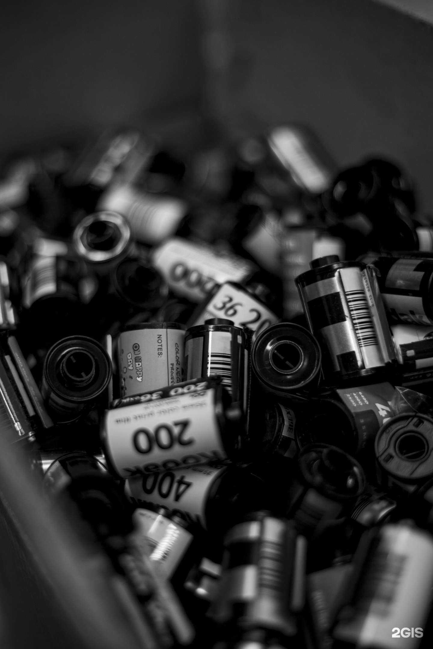 Отзывы на компанию Фотолэнд в Новосибирске c фото