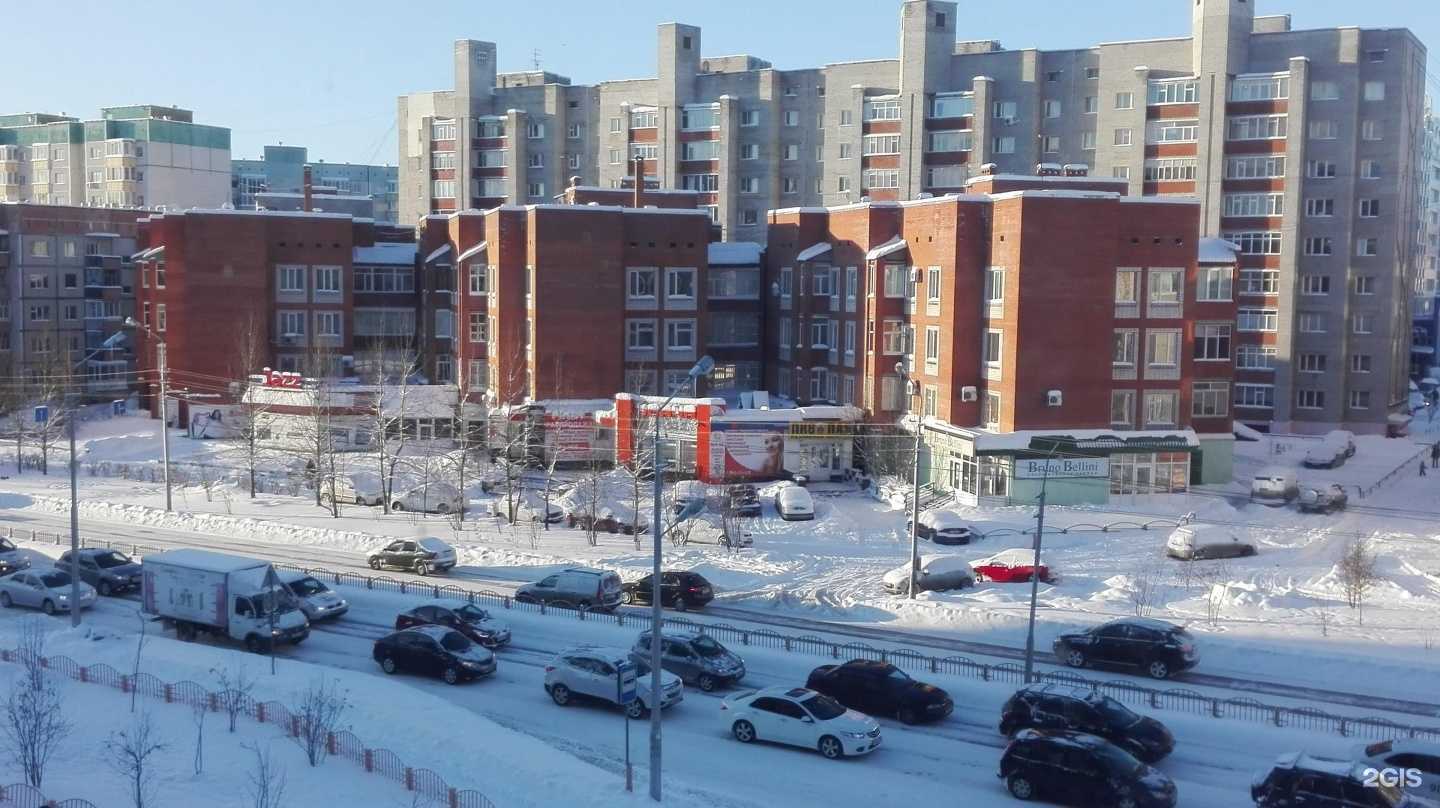 Отзывы на компанию Ботаника в Сургуте c фото - фотография 2 из 2