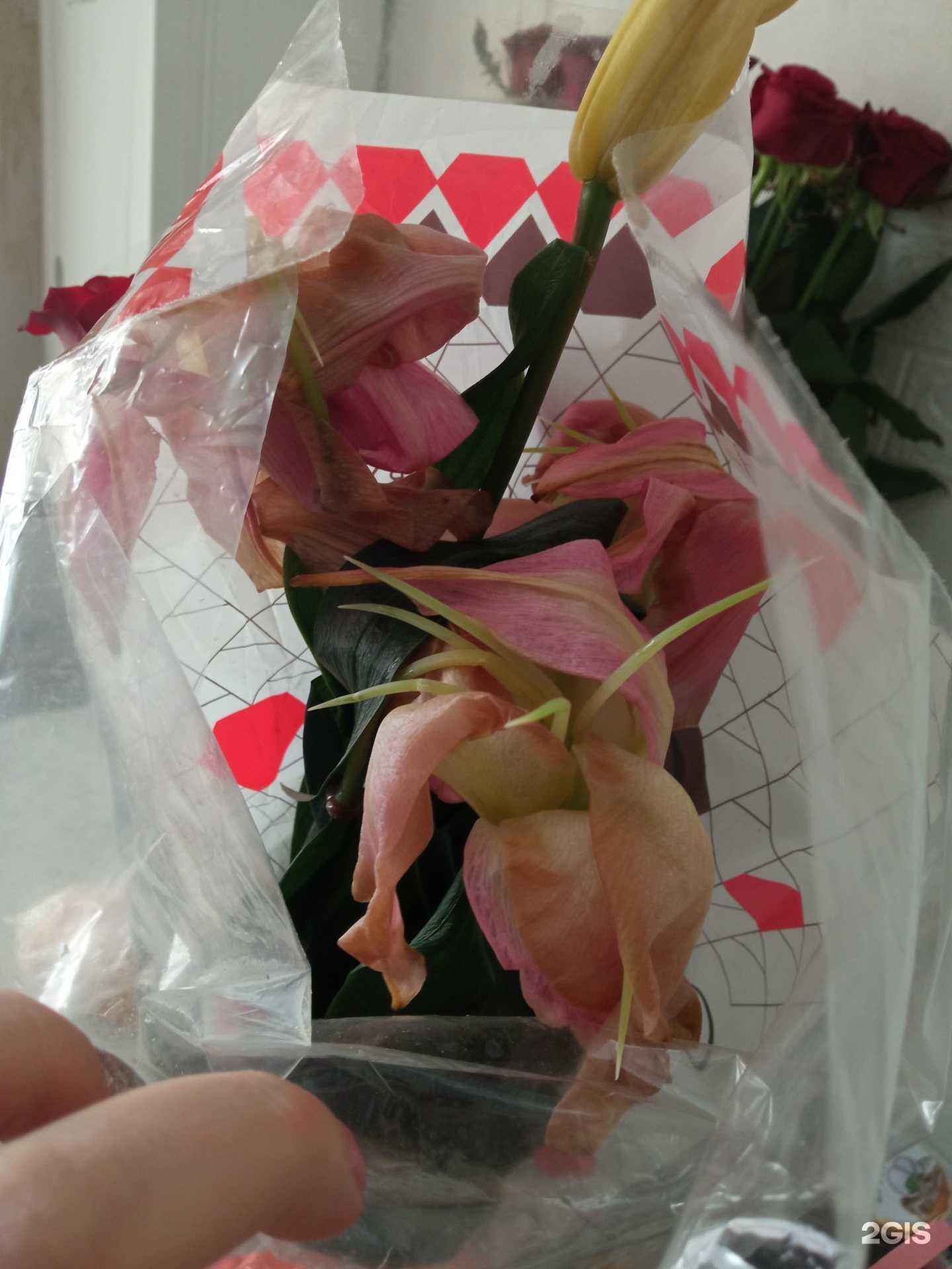 Отзывы на компанию Ромашка в Новосибирске c фото