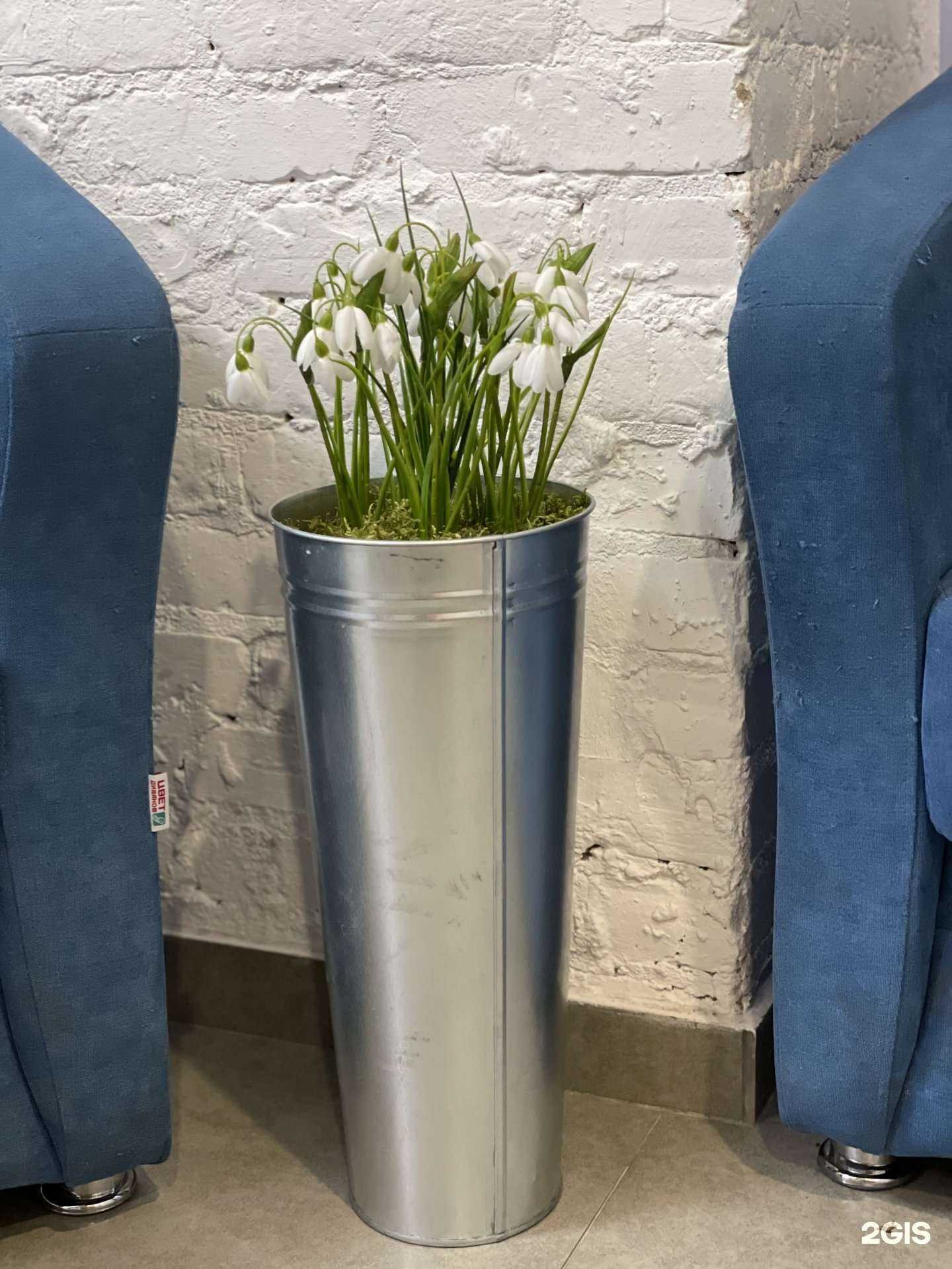 Отзывы на компанию Стиляги в Ярославле c фото