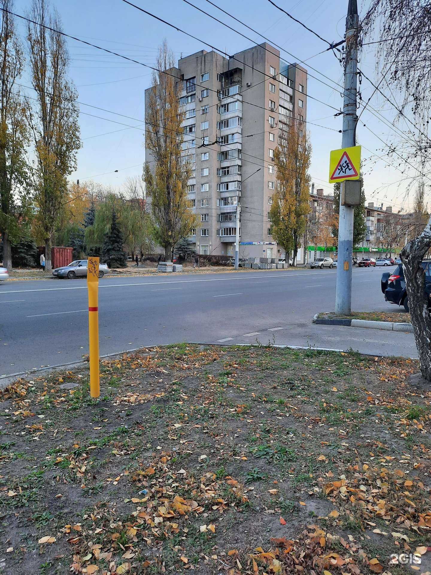 Отзывы на компанию Neplacebo в Воронеже c фото - фотография 2 из 2