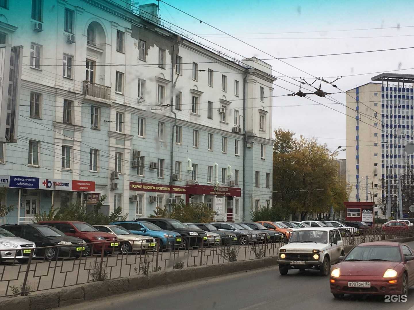 Отзывы на компанию Лохматый в Нижнем Новгороде c фото - фотография 2 из 2