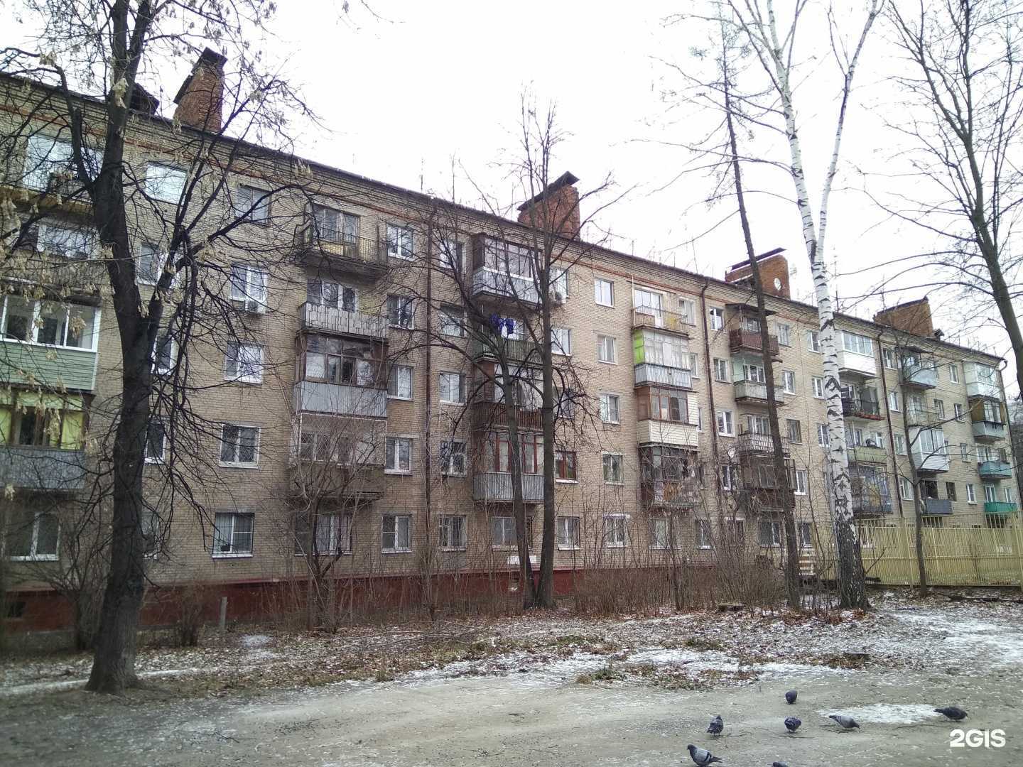 Отзывы на компанию My Rush в Королёве c фото