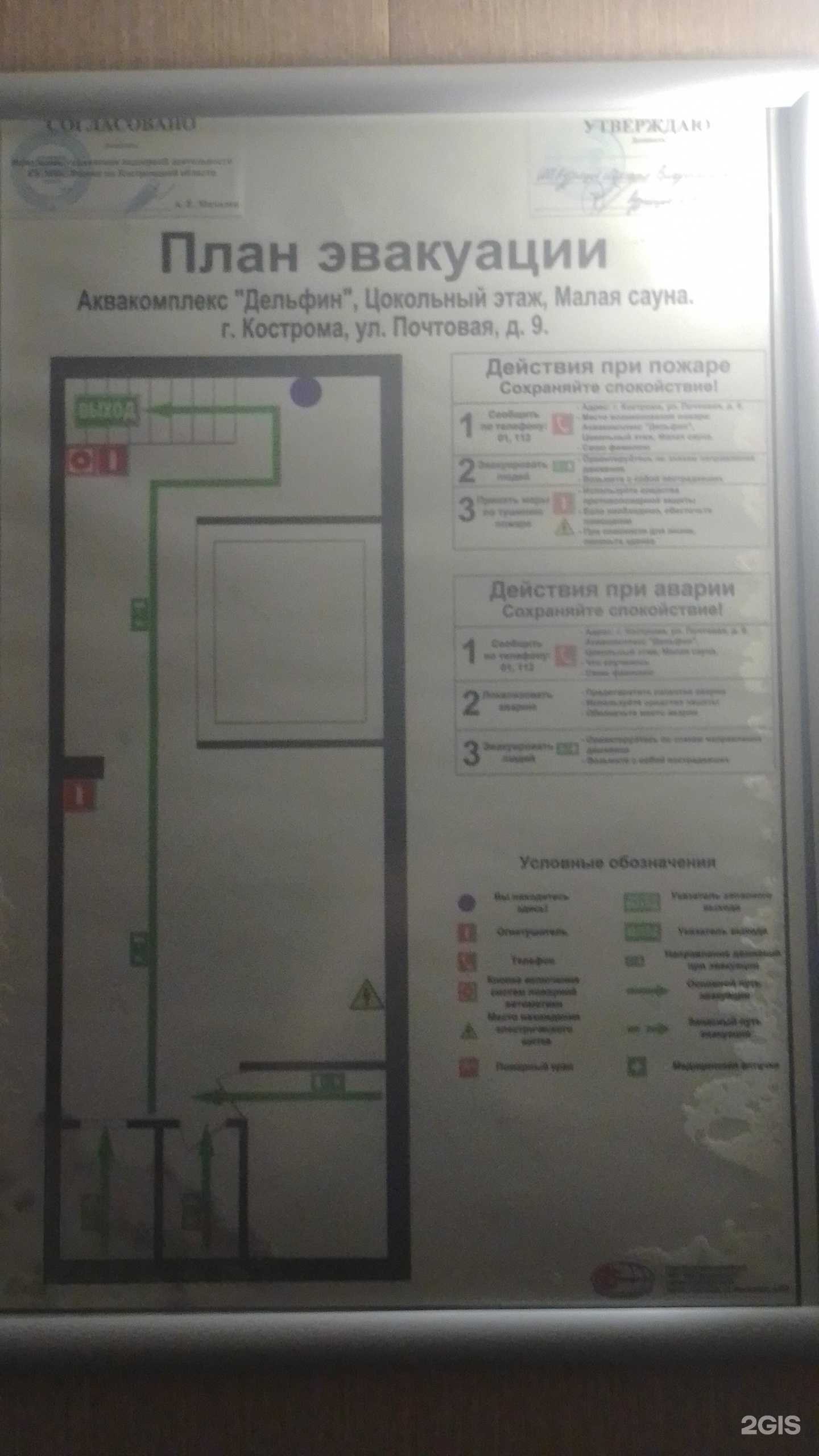 Отзывы на компанию Дельфин в Костроме c фото - фотография 2 из 2