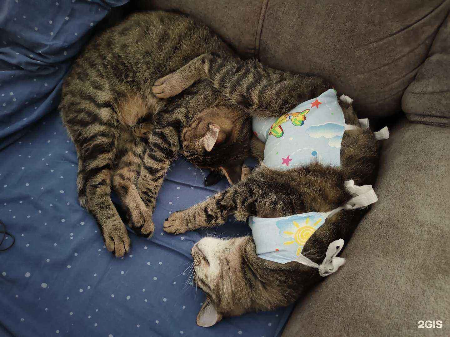 Отзывы на компанию Велес в Ульяновске c фото