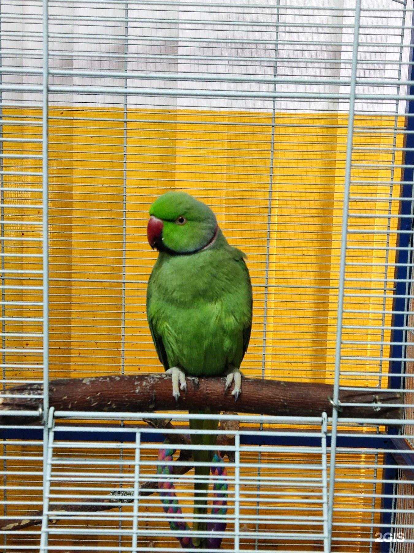 Отзывы на компанию Радуга в г. Тюмень c фото