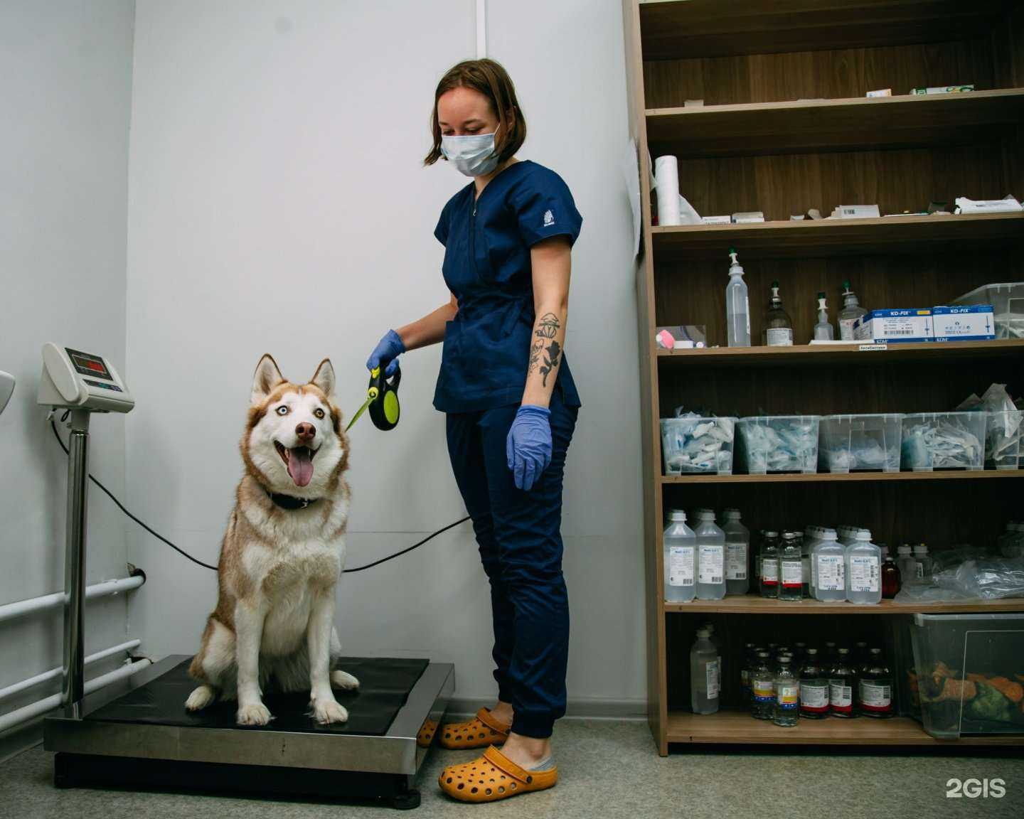 Отзывы на компанию Арника в г. Новосибирск c фото