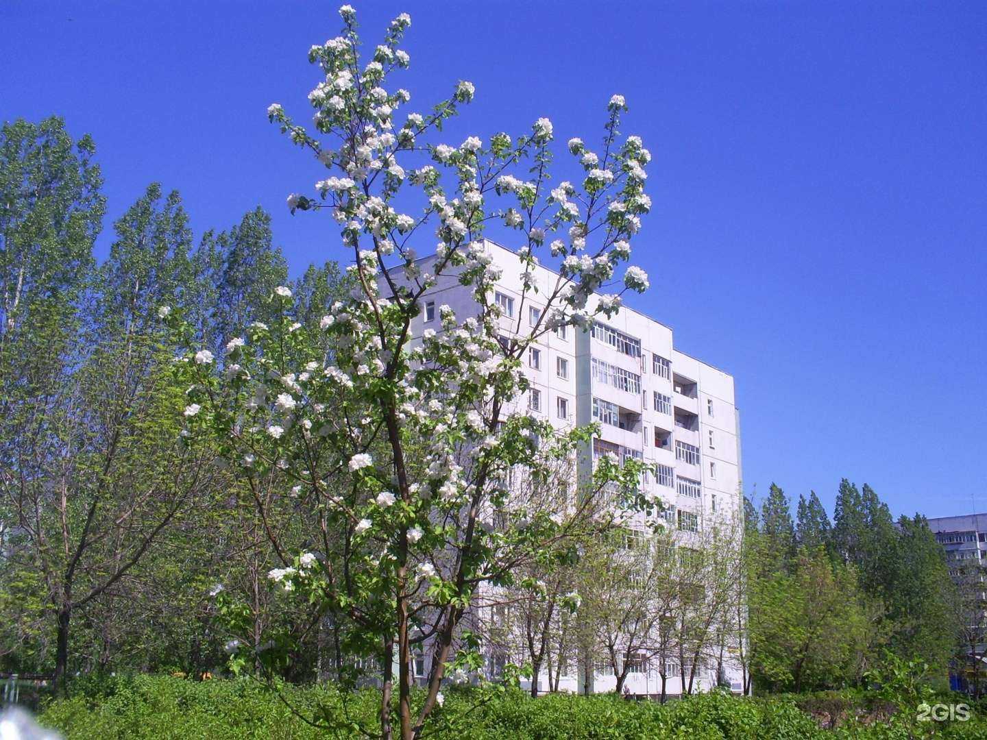 Отзывы на компанию Корона в Ульяновске c фото - фотография 2 из 2