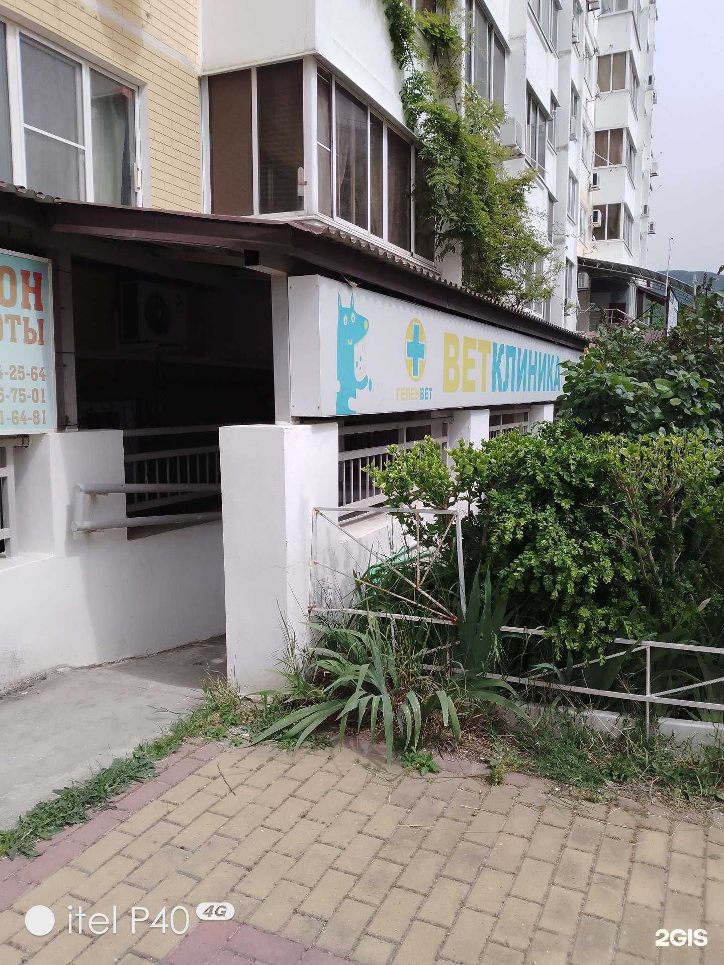 Отзывы на компанию Геленвет в Геленджике c фото