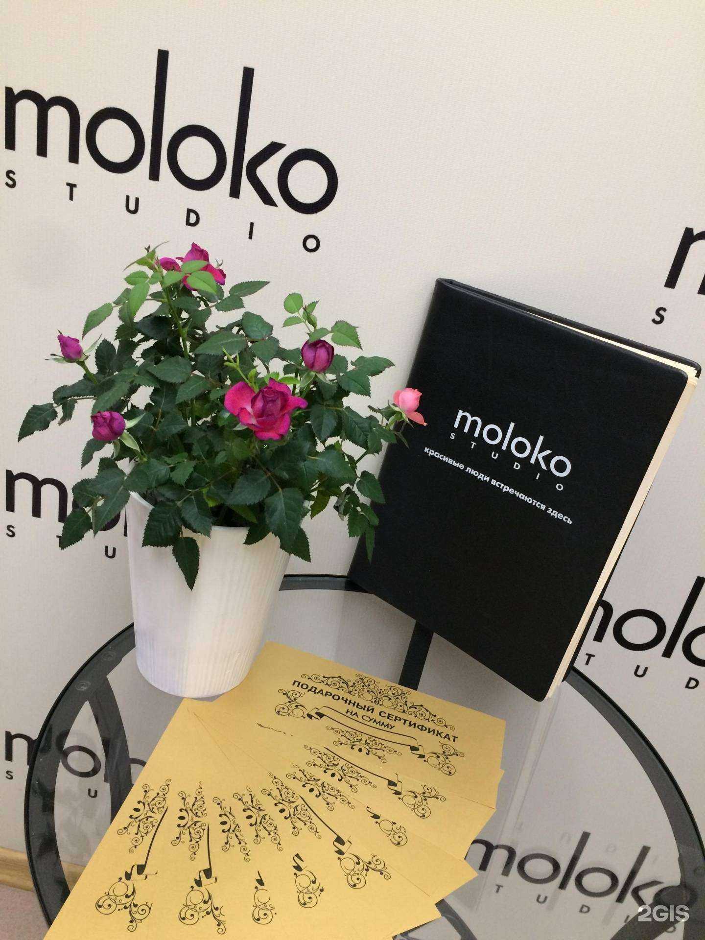 Отзывы на компанию Moloko в г. Тольятти c фото