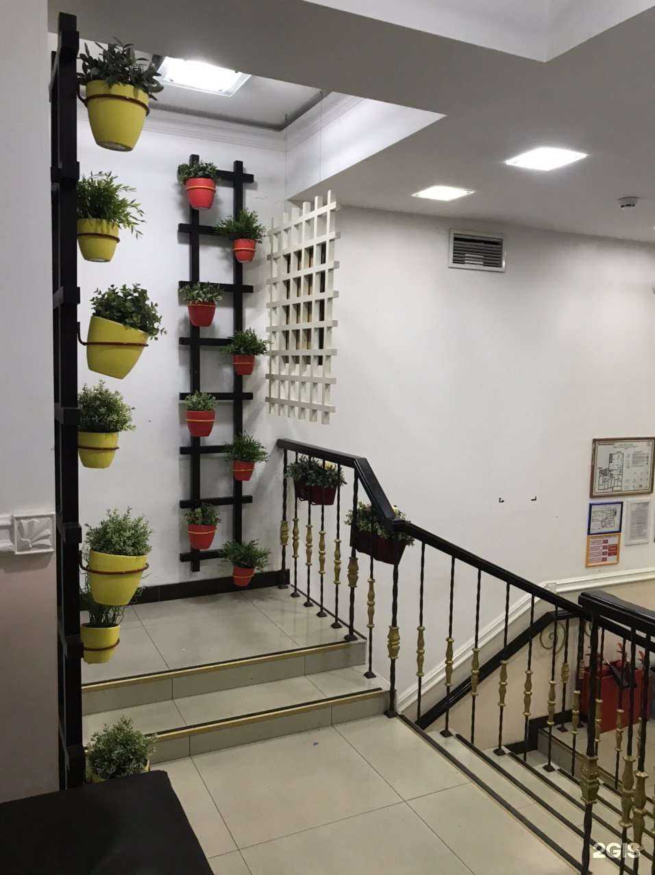 Отзывы на компанию Панацея в г. Махачкала c фото