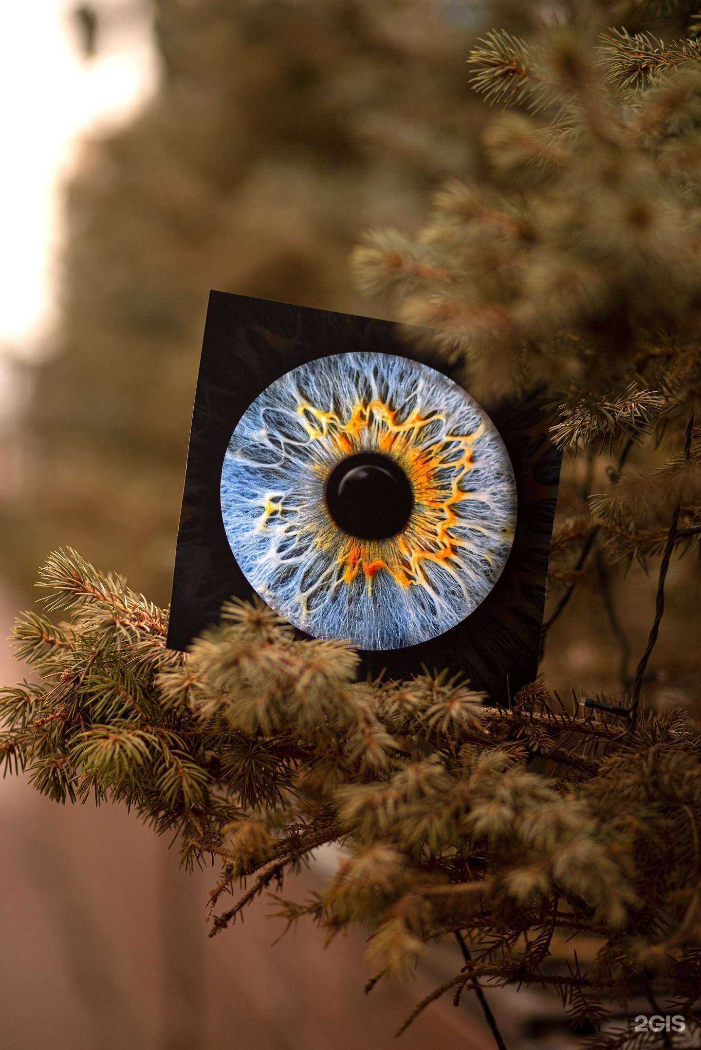 Отзывы на компанию macrolook в Екатеринбурге c фото