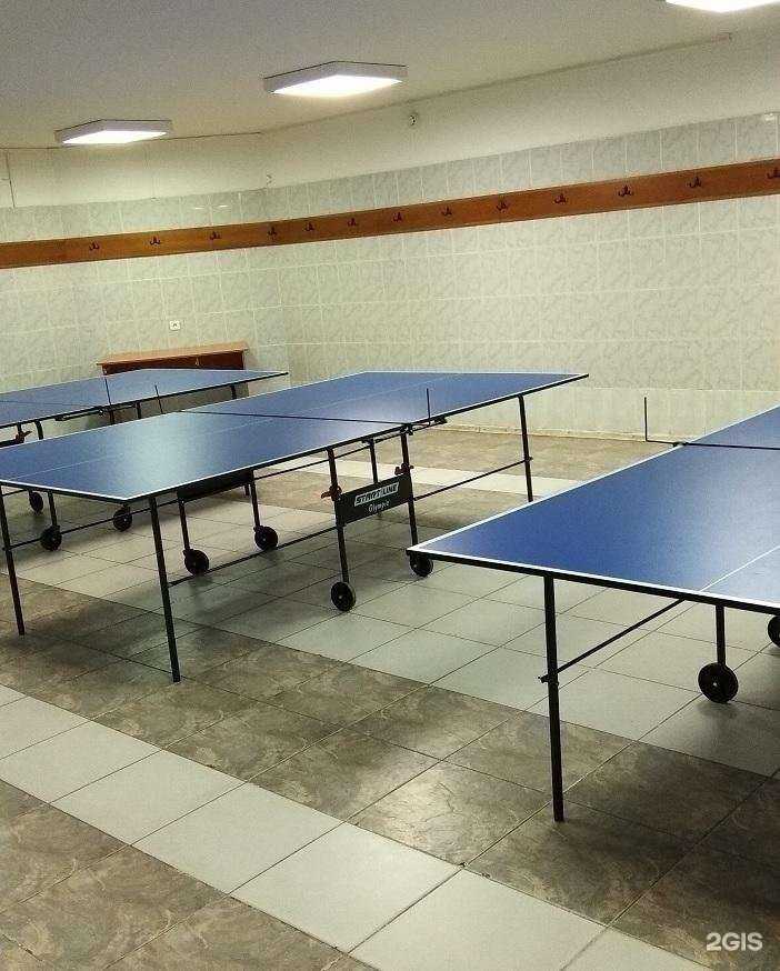 Отзывы на компанию Локомотив в Новосибирске c фото