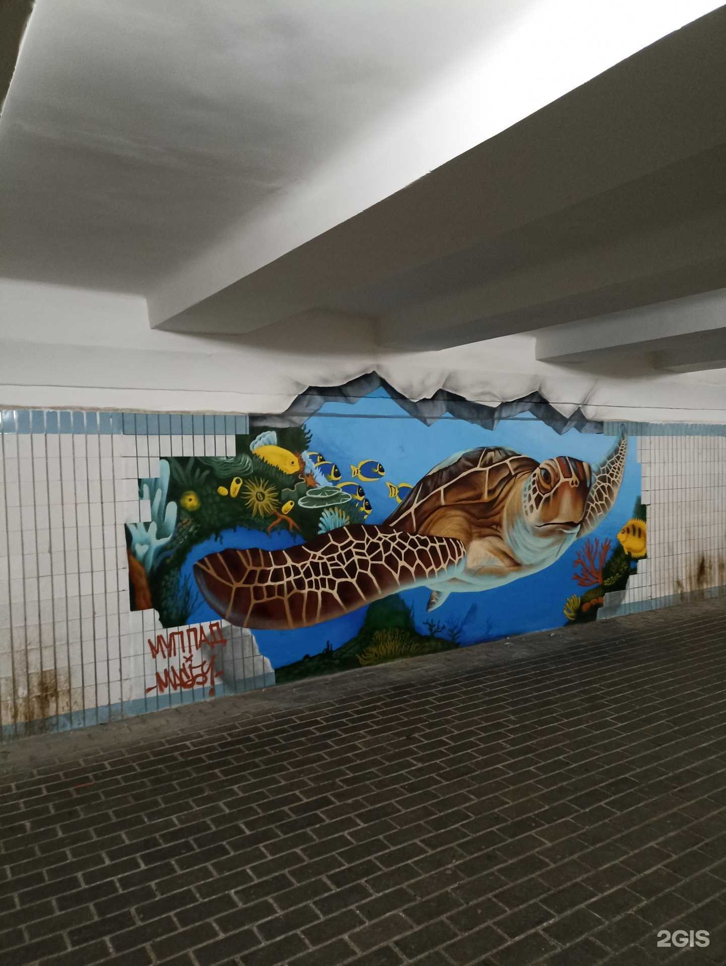 Отзывы на компанию Туфелька в Набережных Челнах c фото - фотография 2 из 2